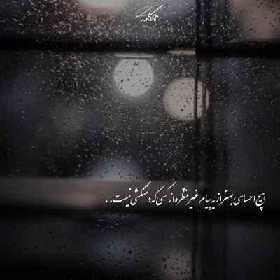 کونول خاسیوا دیلبریم دیلبریم گل گل آهو بالاسی